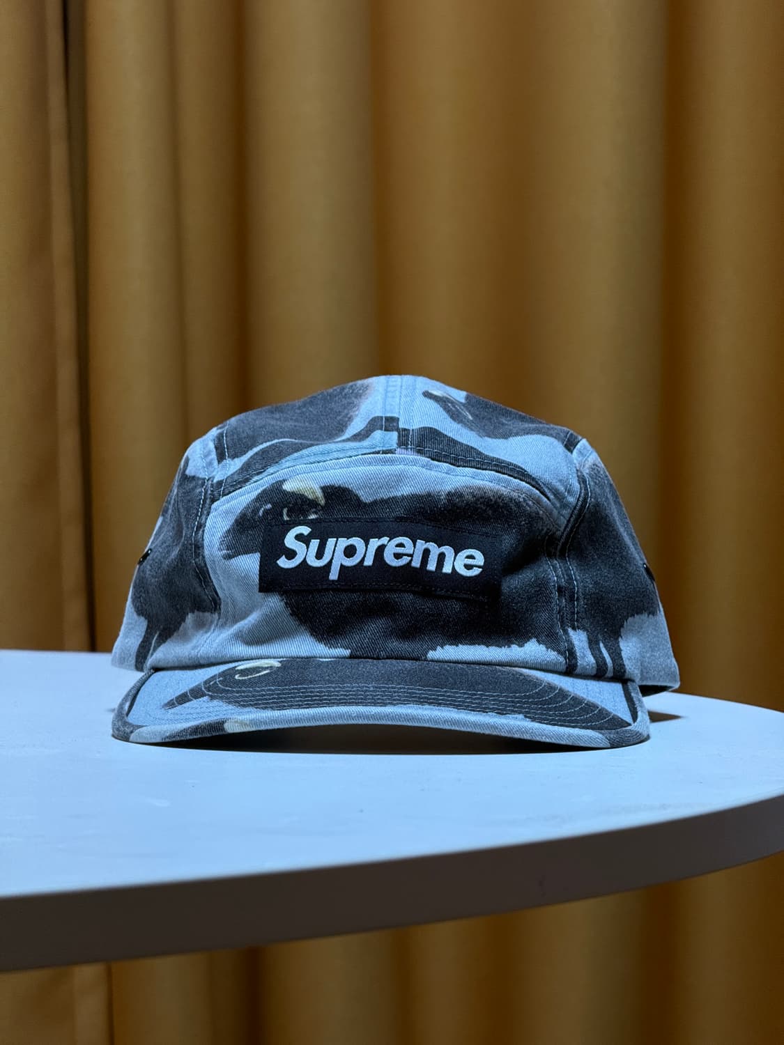 슈프림 데미안허스트 캠프캡 상품이미지1