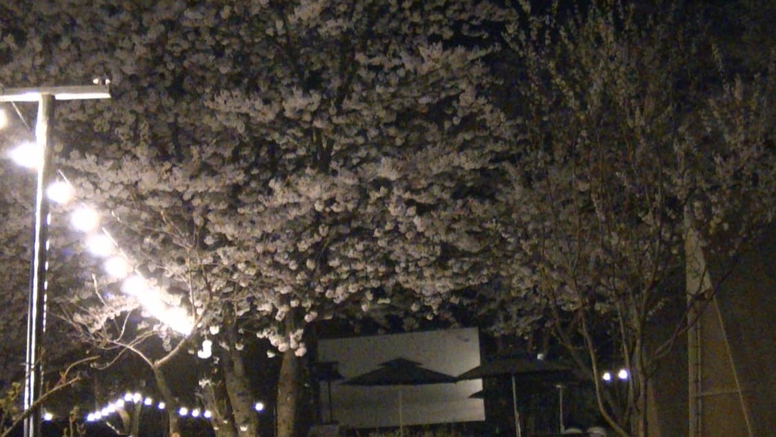 빈티지 디카 캠코더 JVC GZ-HD500-S 본체만/작례 있음 상품이미지7