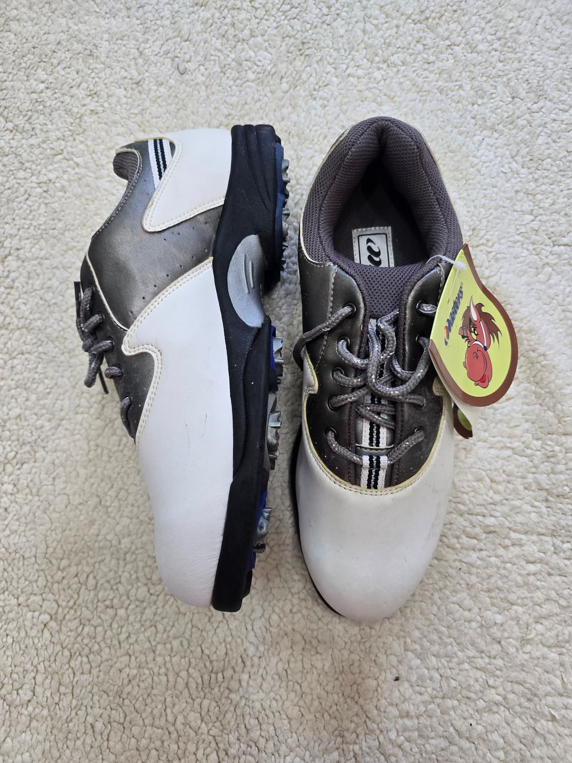 Masters 골프화 255mm 상품이미지1