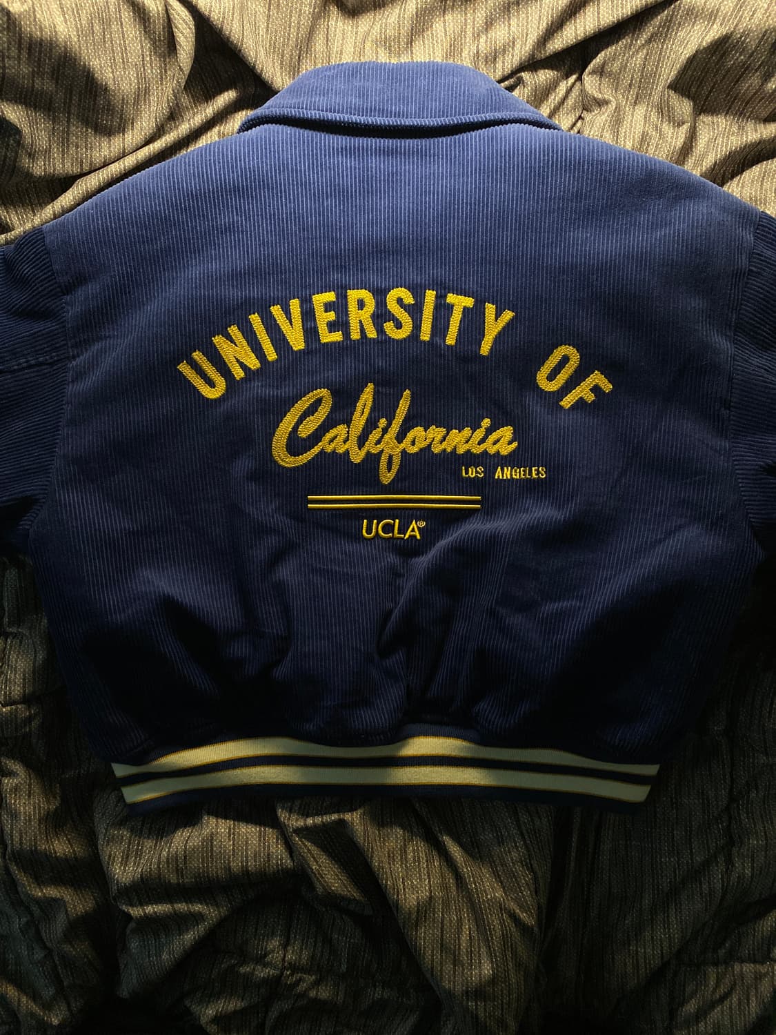 UCLA 자수 코듀로이 바시티 패딩 점퍼 상품이미지2