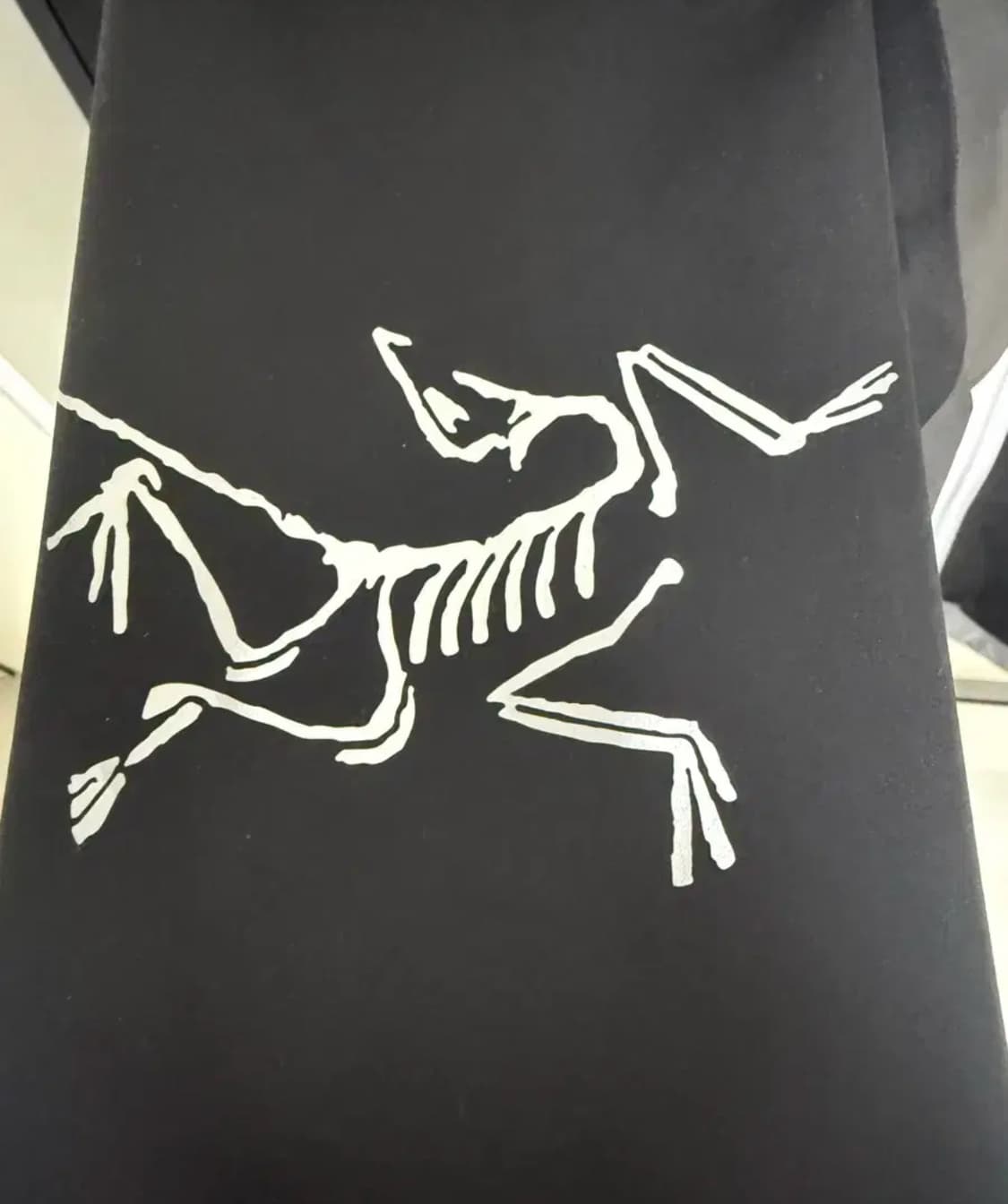 아크테릭스 빔즈 베타  상품이미지3