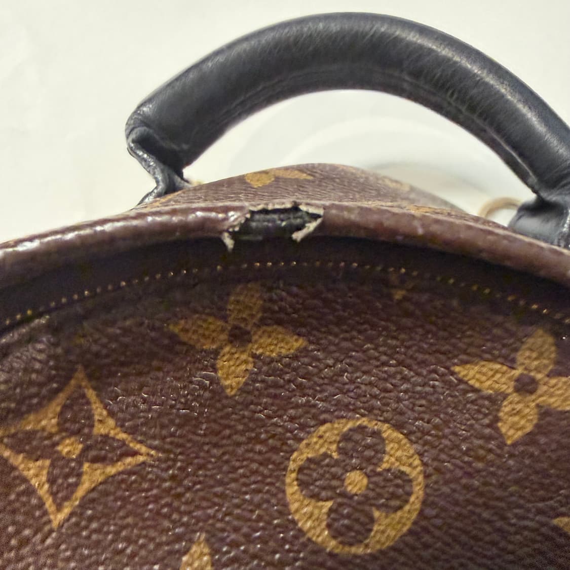 루이비통 모노그램 팜 스프링스 미니 백팩 상품이미지4