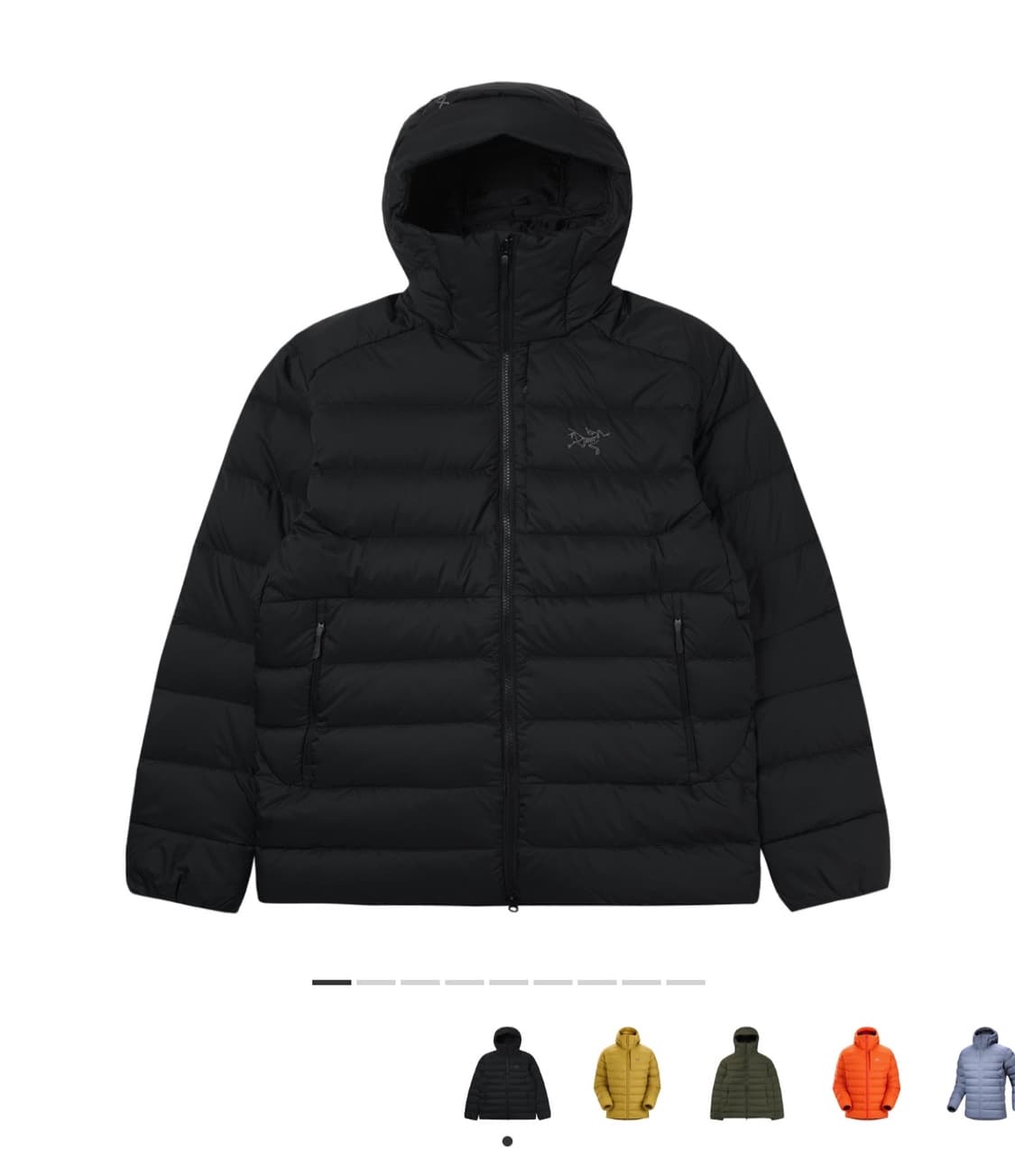 아크테릭스 토륨 L 상품이미지1