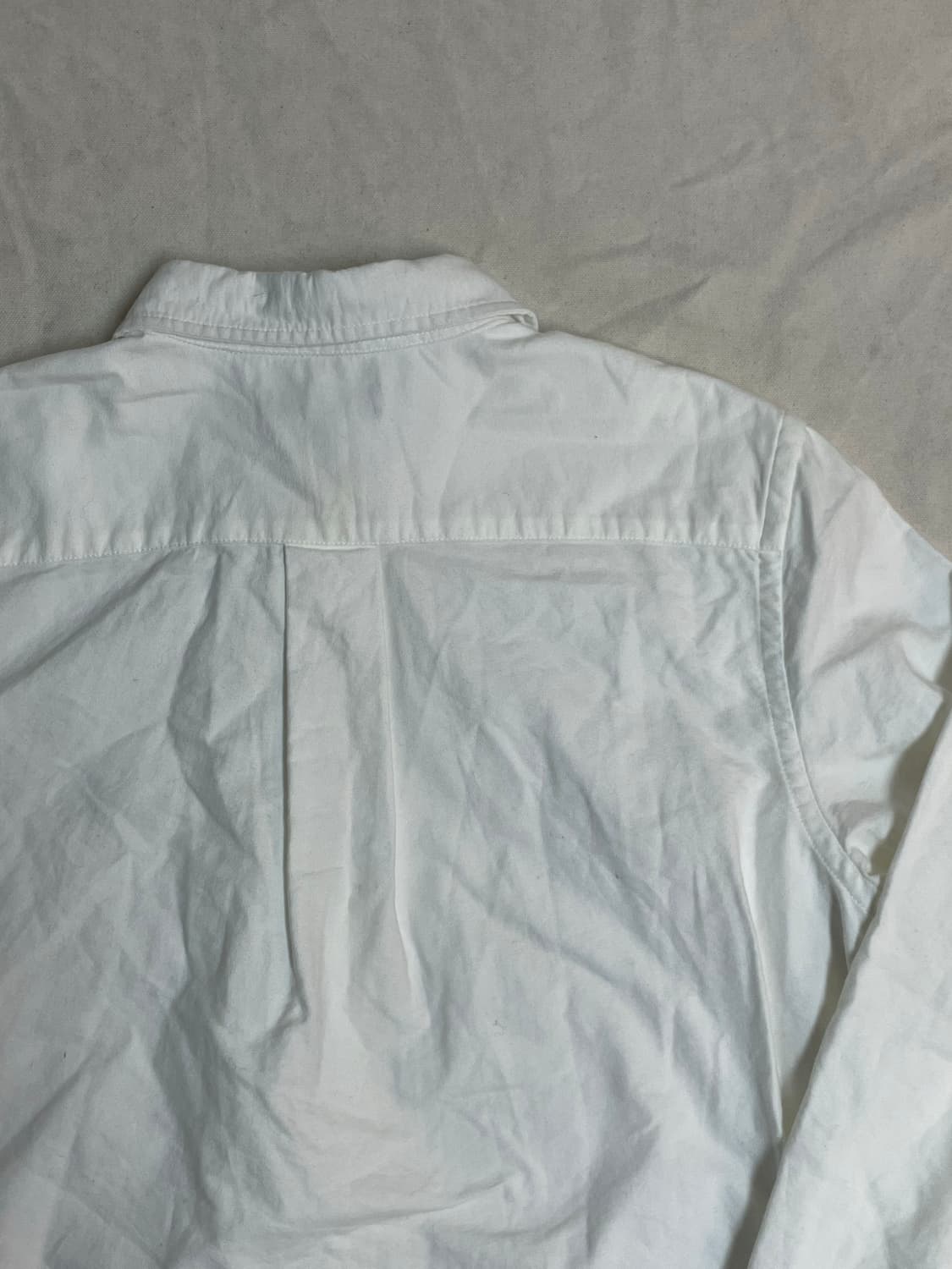 폴로 코튼 셔츠  상품이미지8