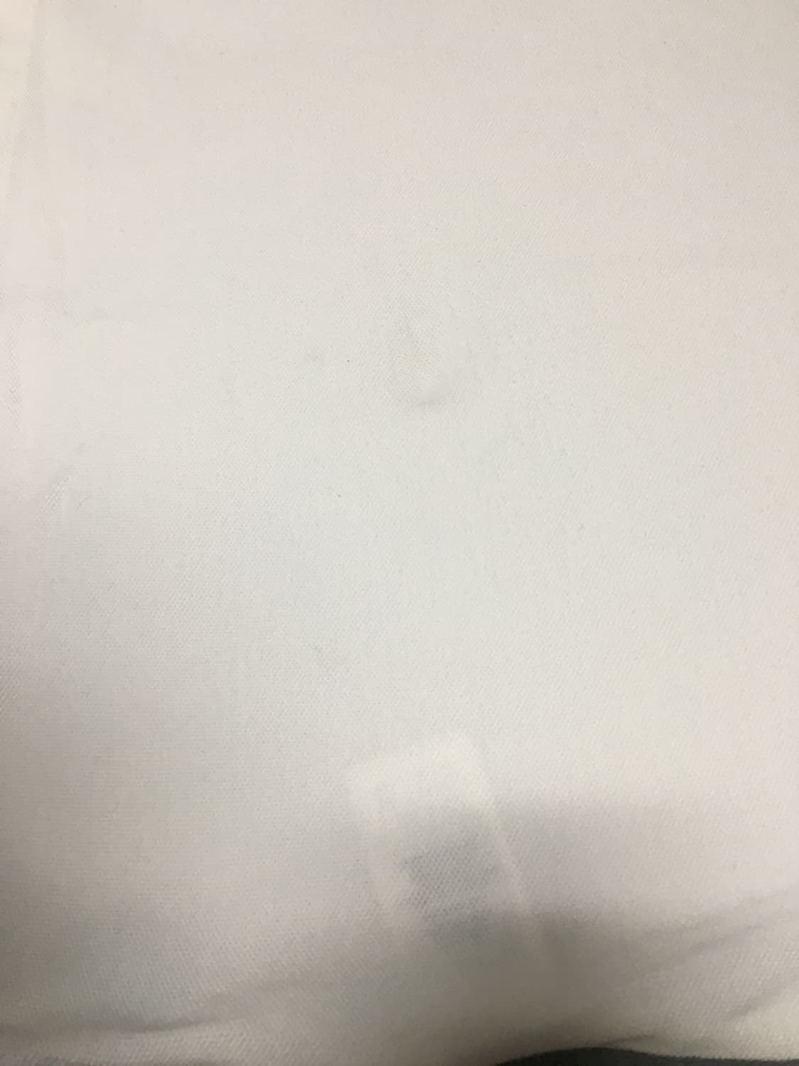 폴로 랄프로렌 빅포니 상품이미지3