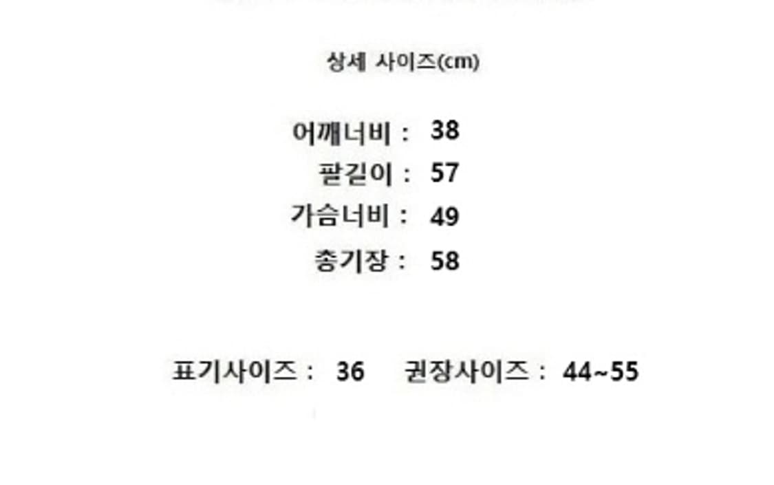 DANTON 단톤 상품이미지10