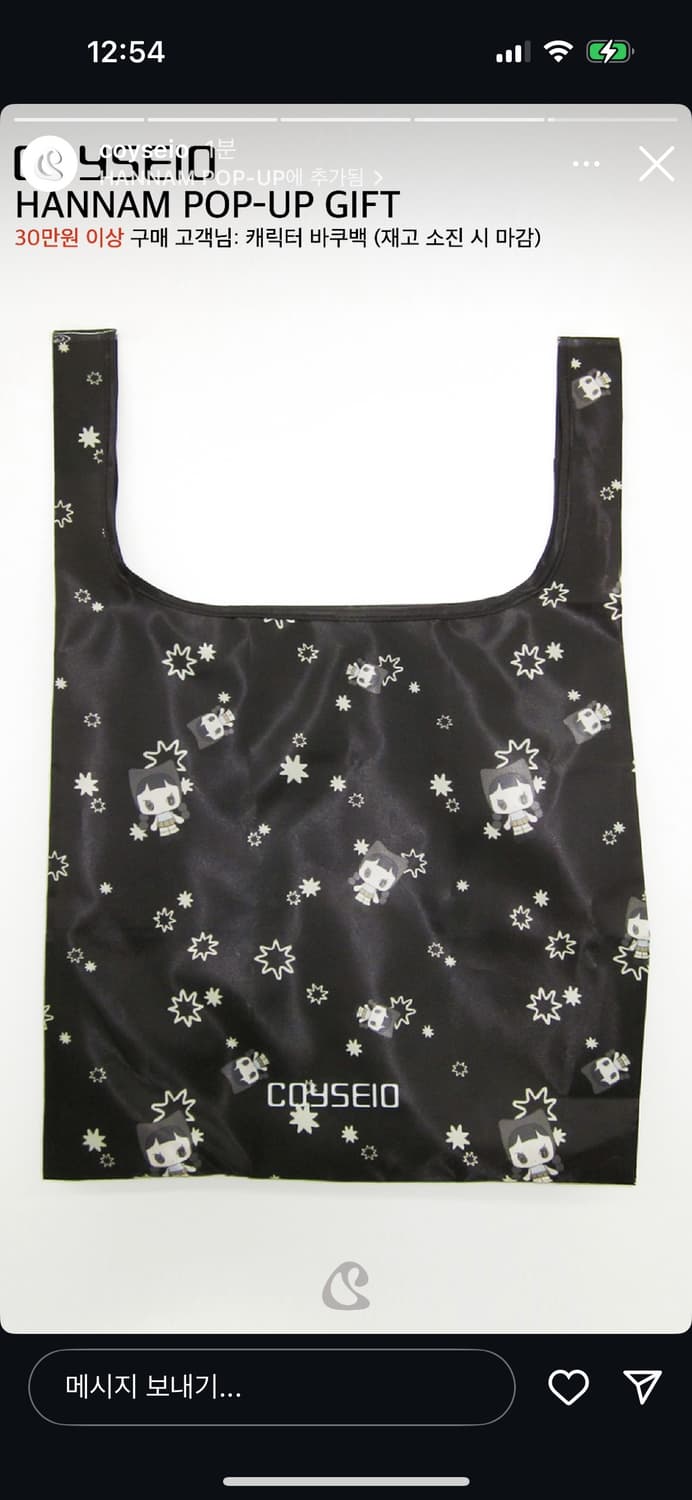 coyseio trinh reusable bag 상품이미지1