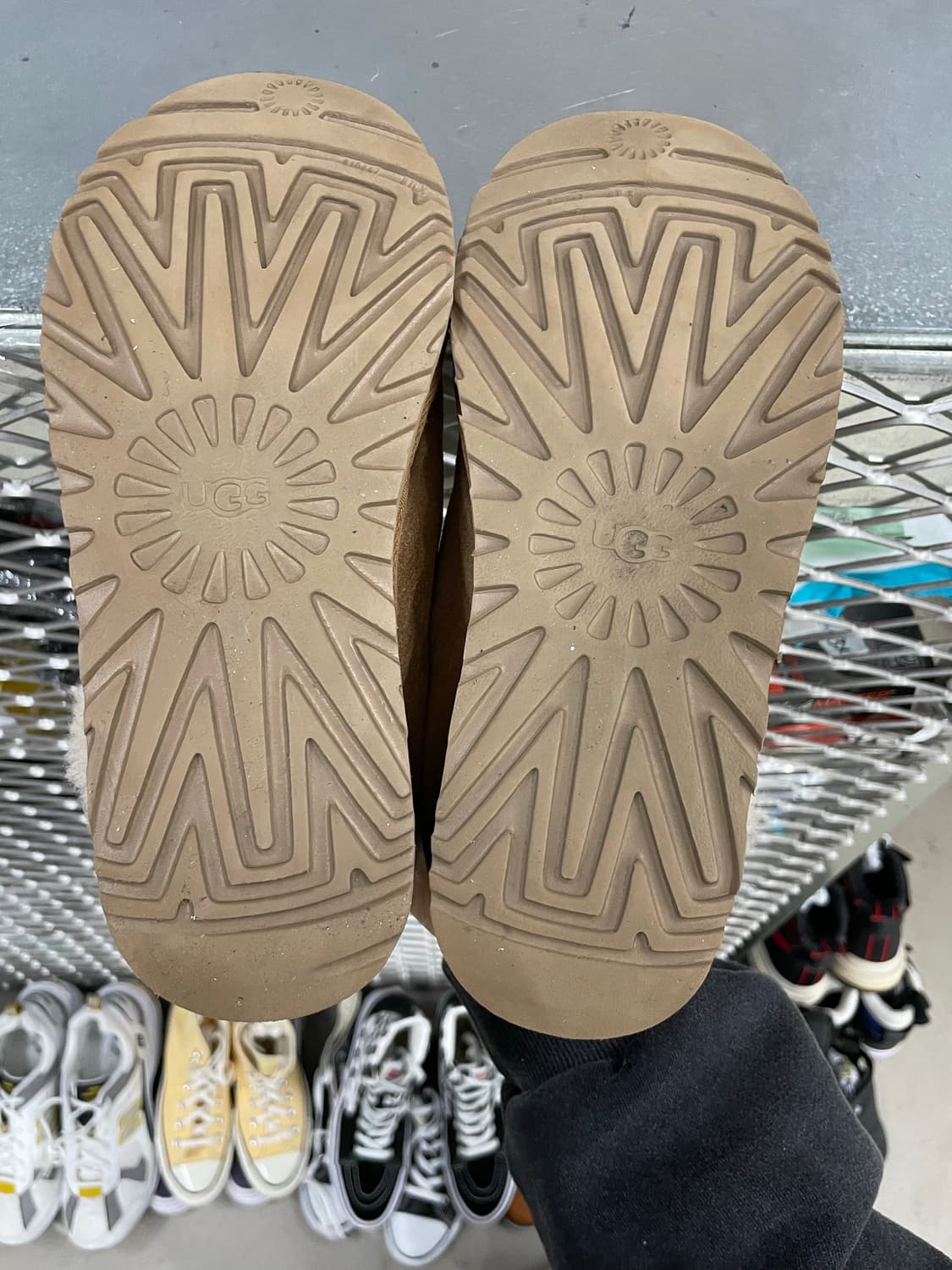 어그 타제트 슬리퍼 240 상품이미지6