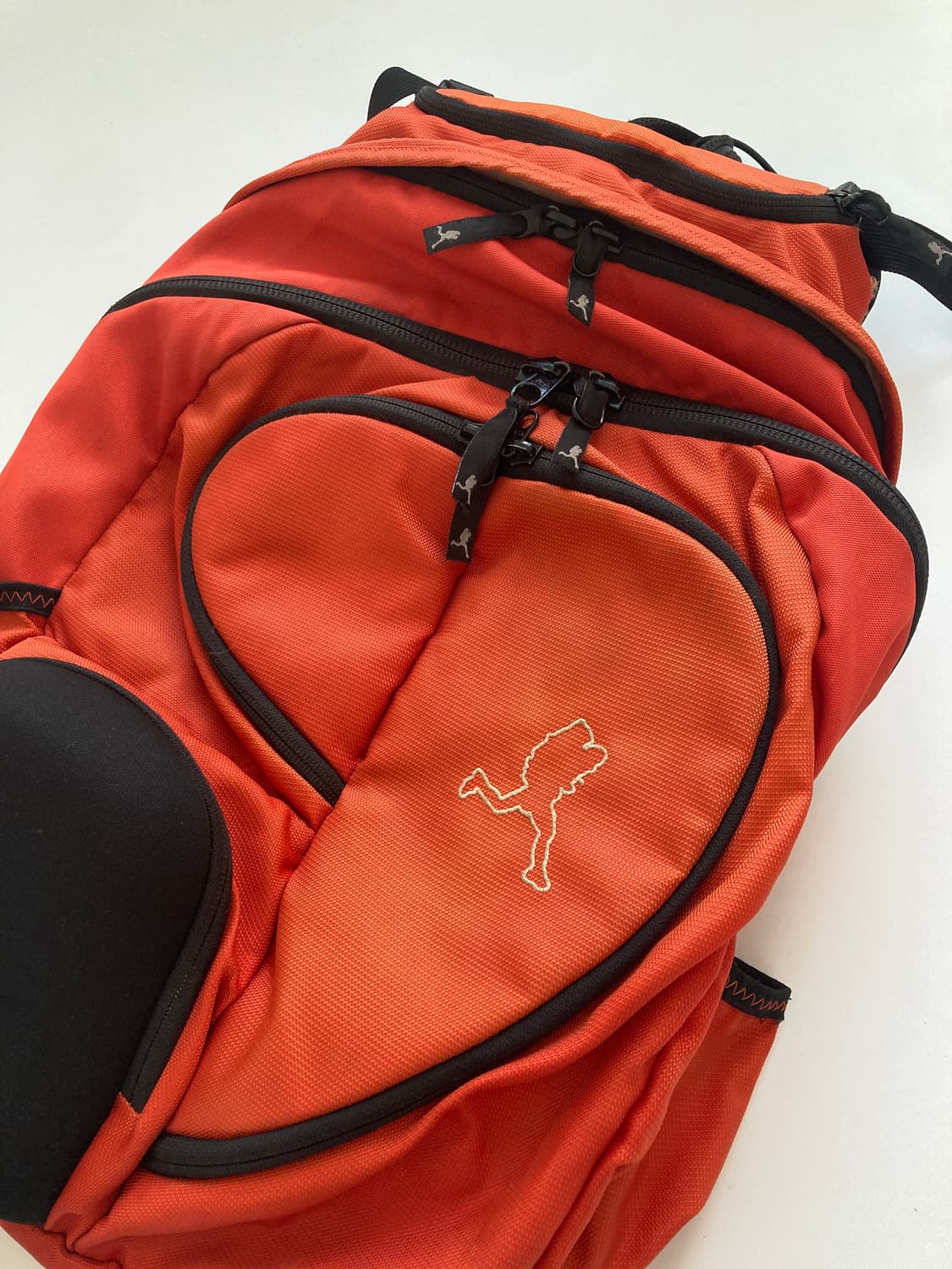 DANA DESIGN  EMERALD CITY BAG 상품이미지10