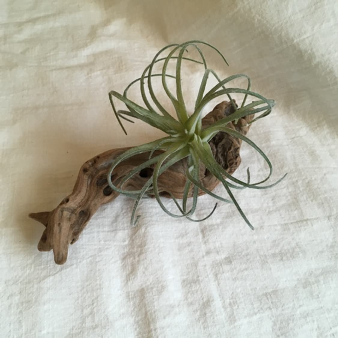  wood object 023 상품이미지1