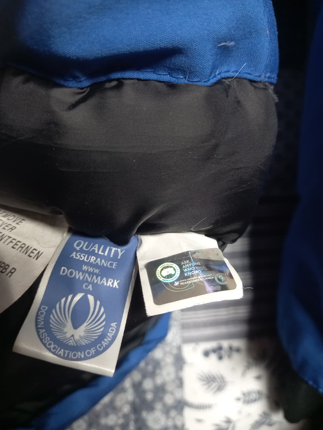 캐나다구스X디스퀘어드 PBI 패딩 xs(실용100) 상품이미지8