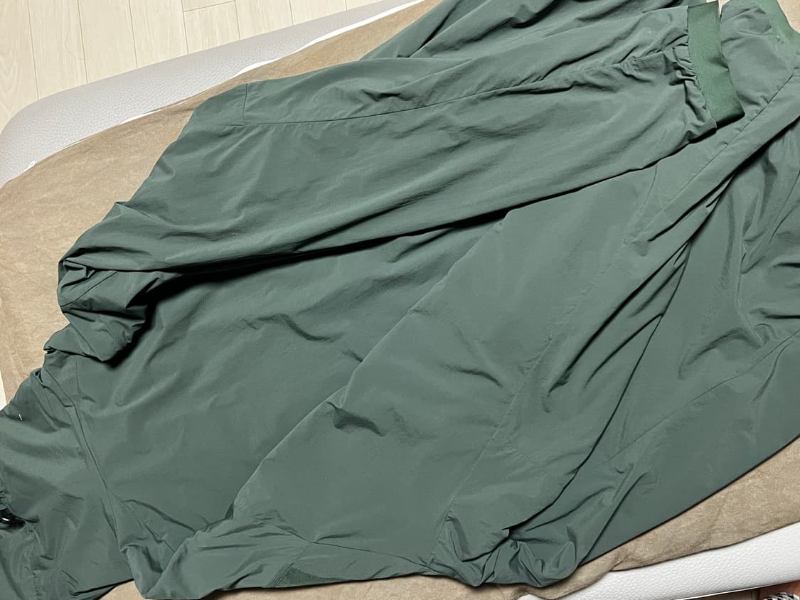 아크테릭스 프로톤 FL 후디 상품이미지2