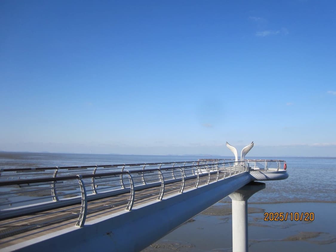 캐논 익서스 120IS 빈티지 디지털 카메라 상품이미지9