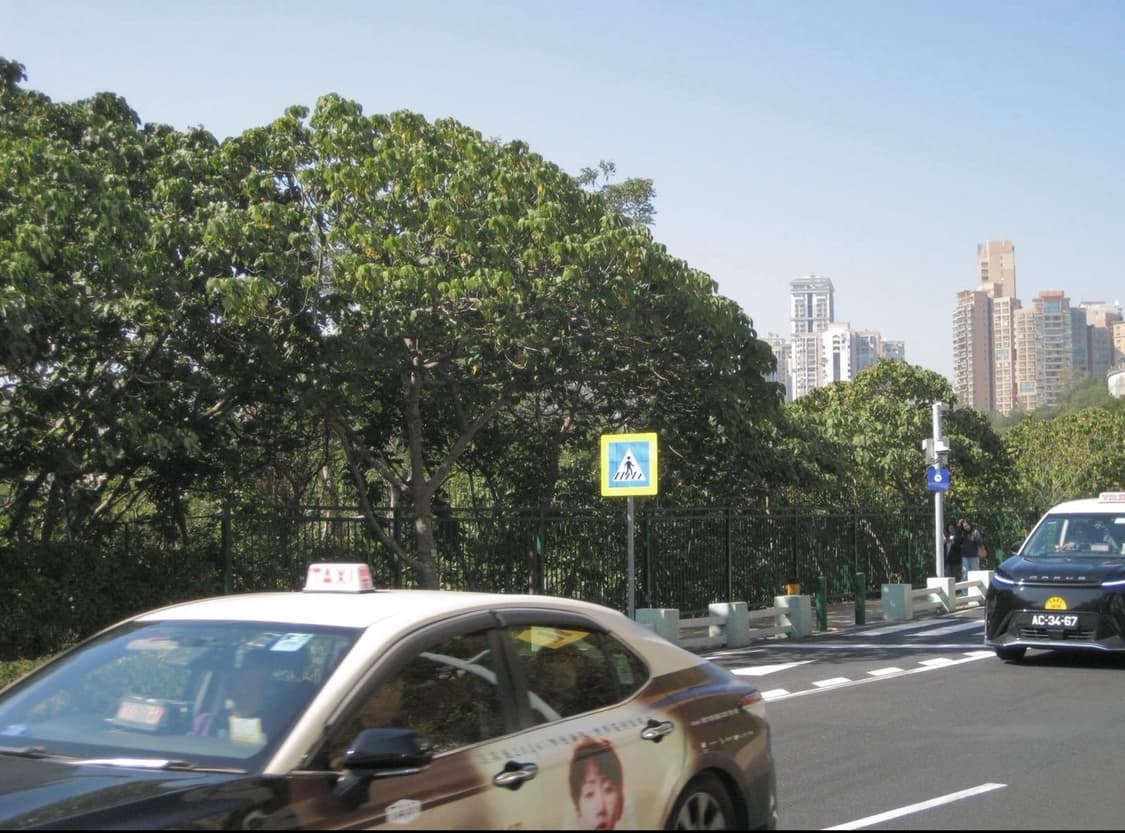 캐논 익서스 90IS 미우미우 디카 작례O 상품이미지1