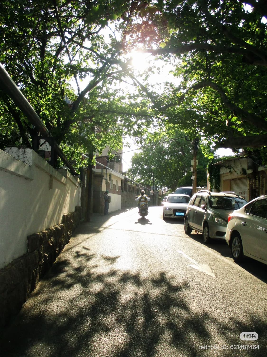 작례🪽캐논 익시 150(IXY 150, IXUS 160) 빈티지 디카 상품이미지9