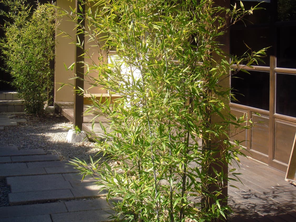 후지필름 파인픽스 z300 상품이미지10