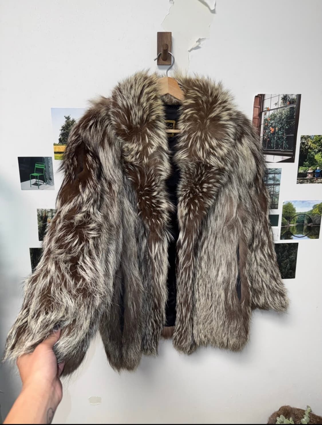 Saga fox 빈티지 사가 폭스 상품이미지2