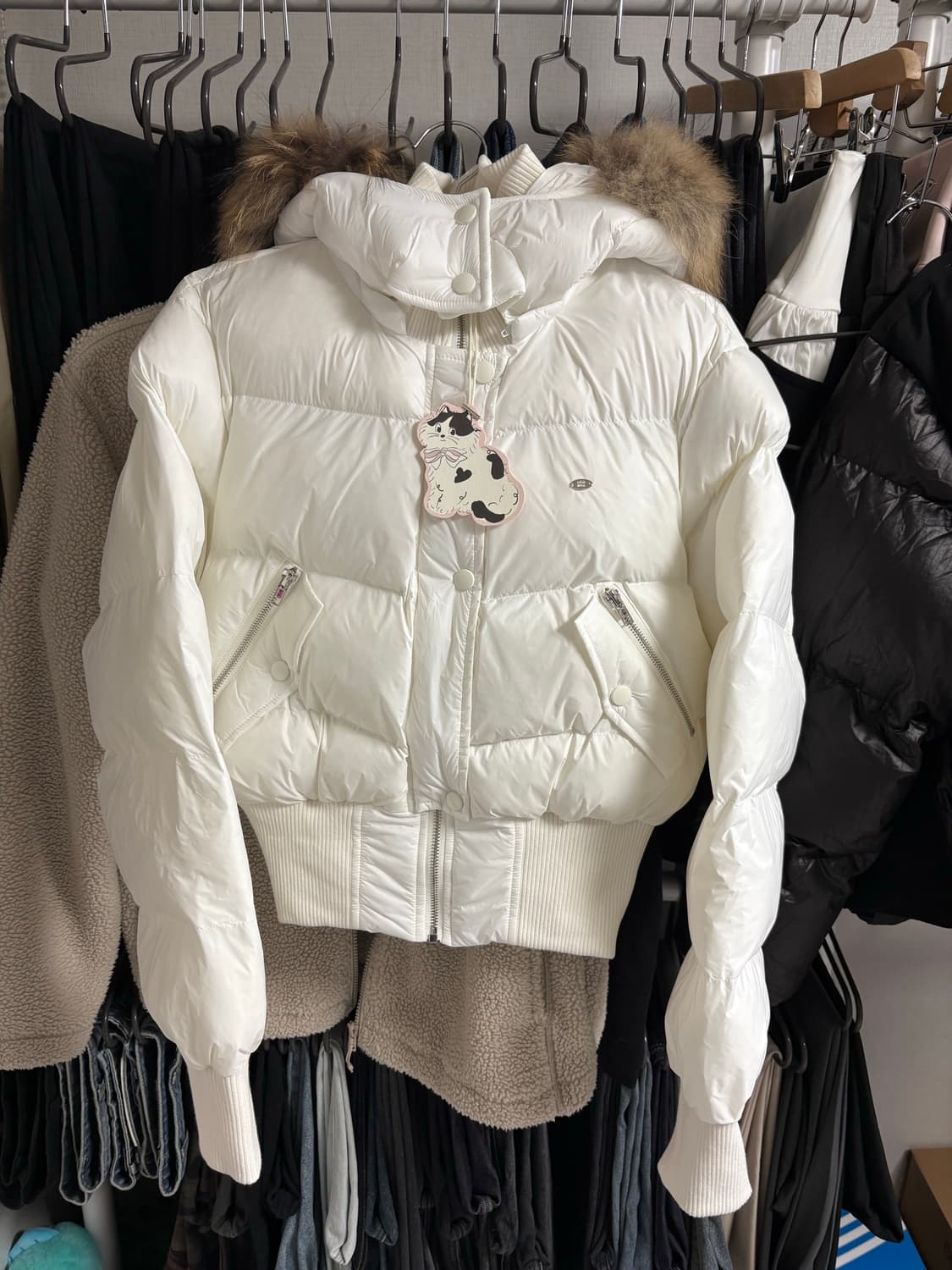 페일제일드 라쿤 후디드 푸퍼 자켓 패딩 상품이미지1