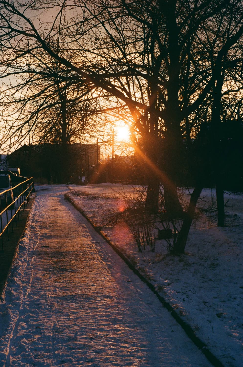 작례O 유럽카메라어워드 올림푸스 izm 300 필름카메라 빈티지 필카 상품이미지4