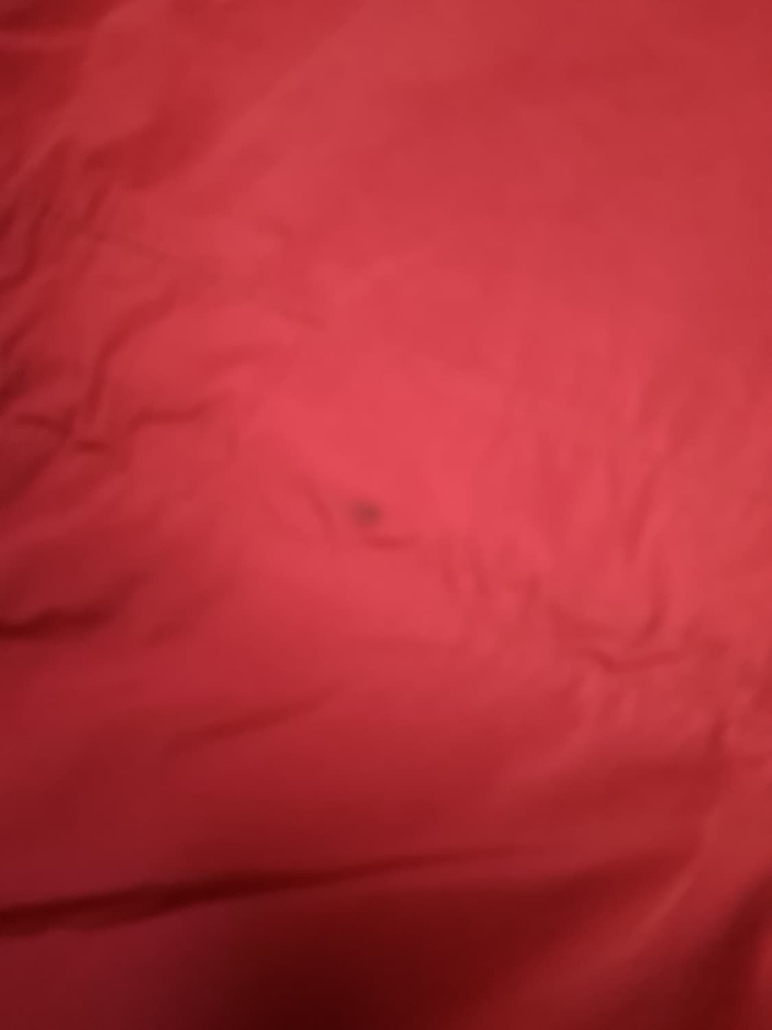 오리지날 C.P컴퍼니 나이크라 가먼트 다이 다운 고글 자켓 상품이미지10