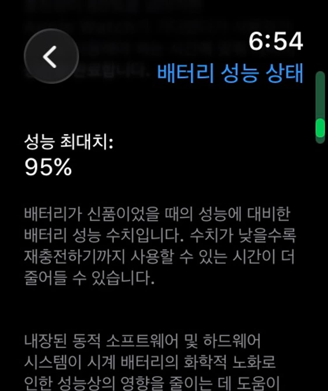 애플워치10 46mm 셀룰러 실버 상품이미지6