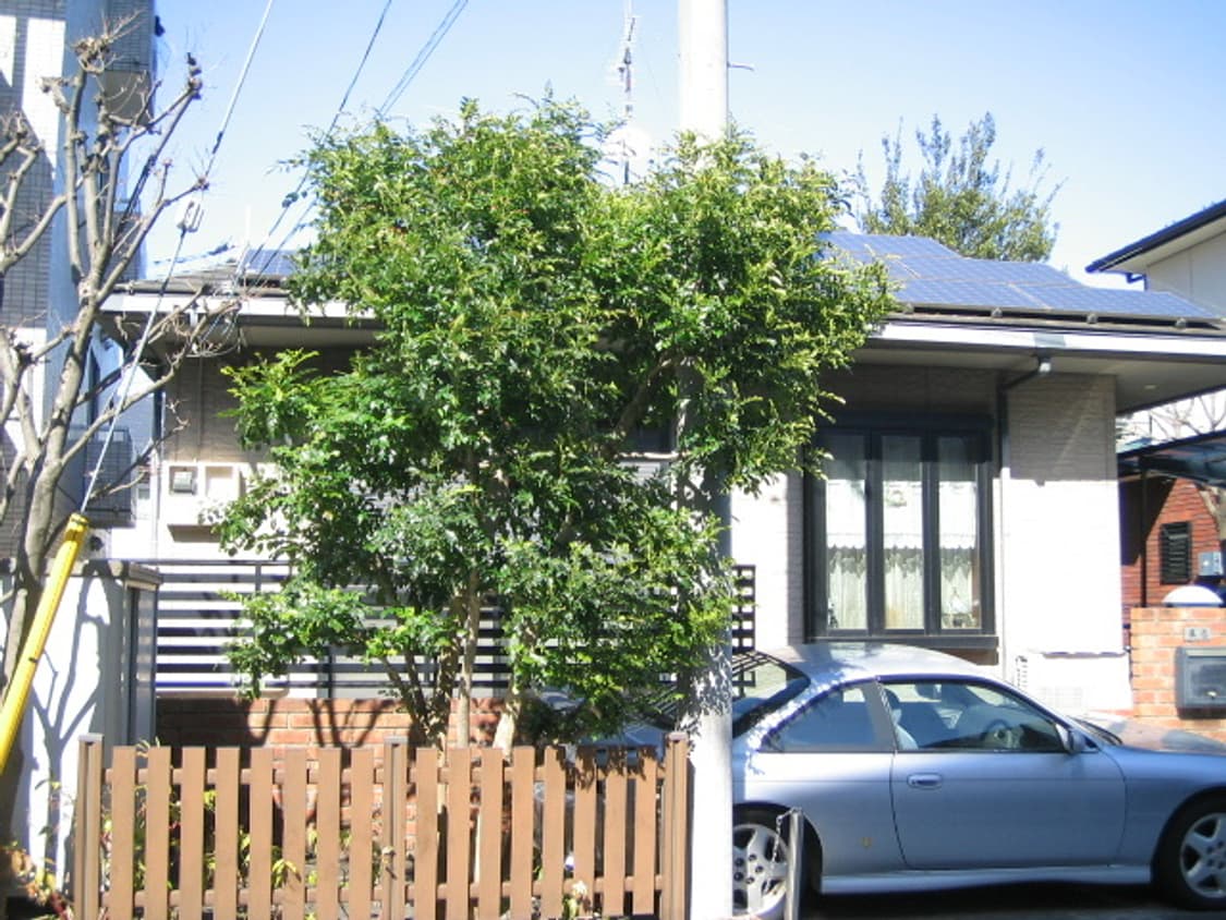 Canon IXY Digital L (IXUS i) 작례있음 상품이미지2