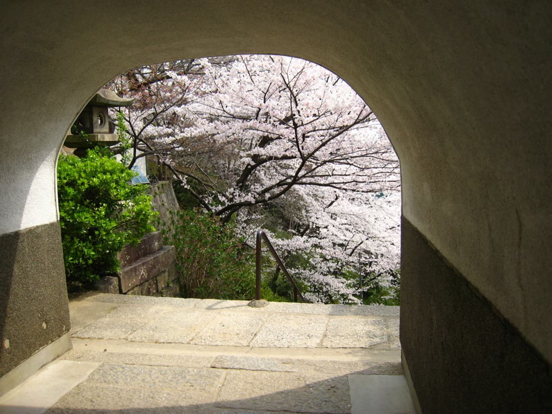 캐논 익서스 Canon IXUS 850 IS 실버 상품이미지4