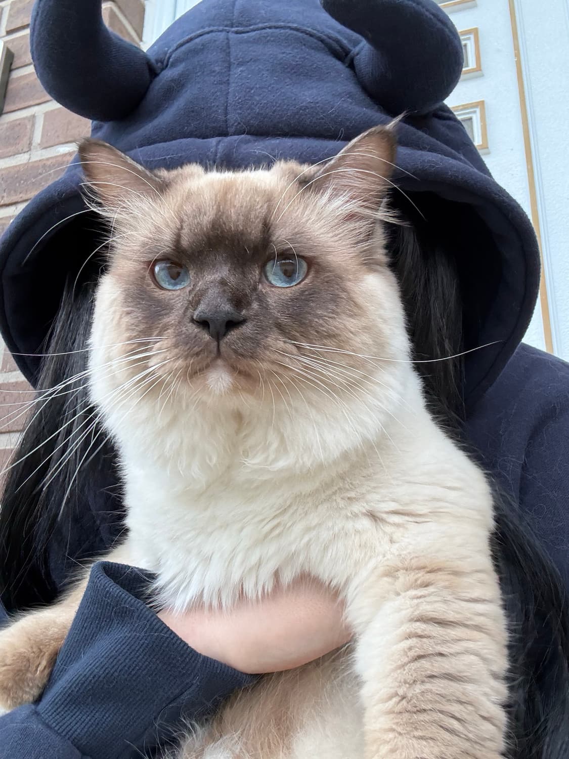 예그 데빌 후드 네이비 상품이미지5