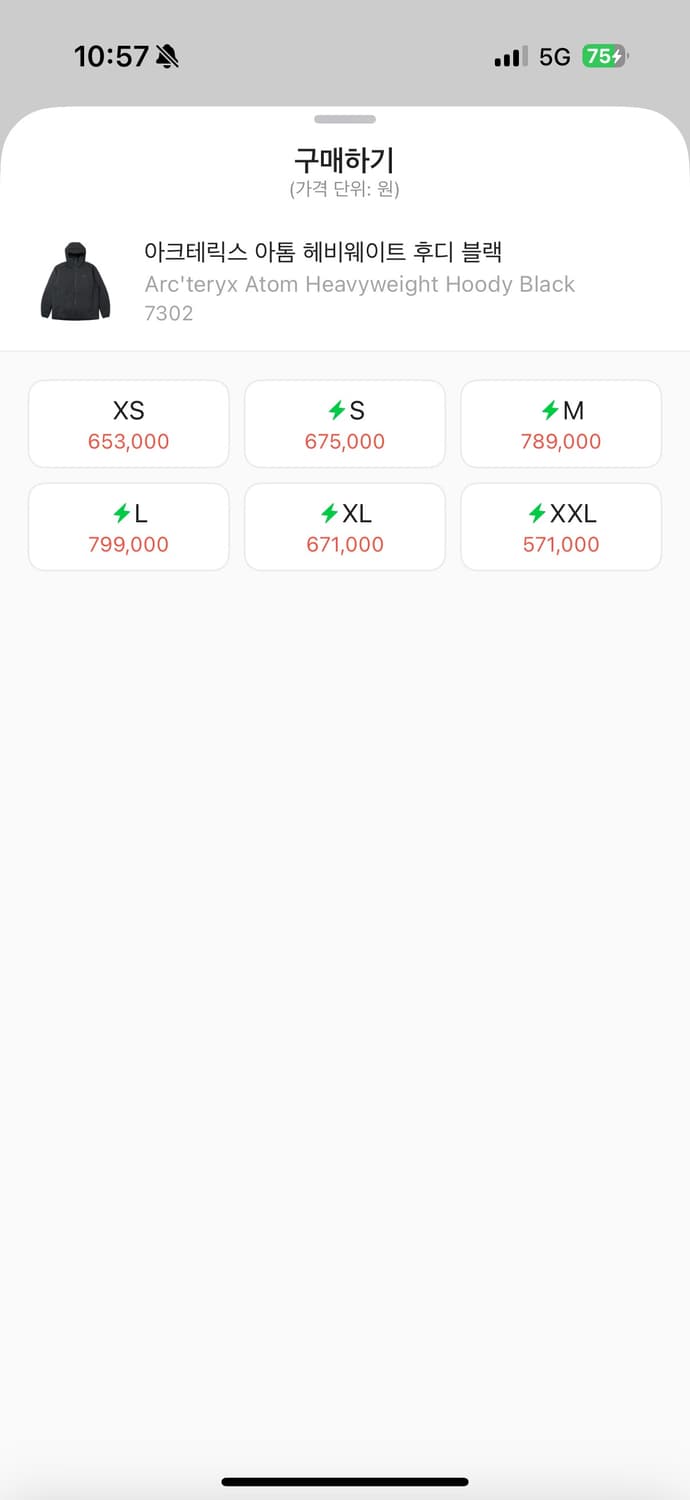 아크테릭스 아톰 헤비웨이트 상품이미지7