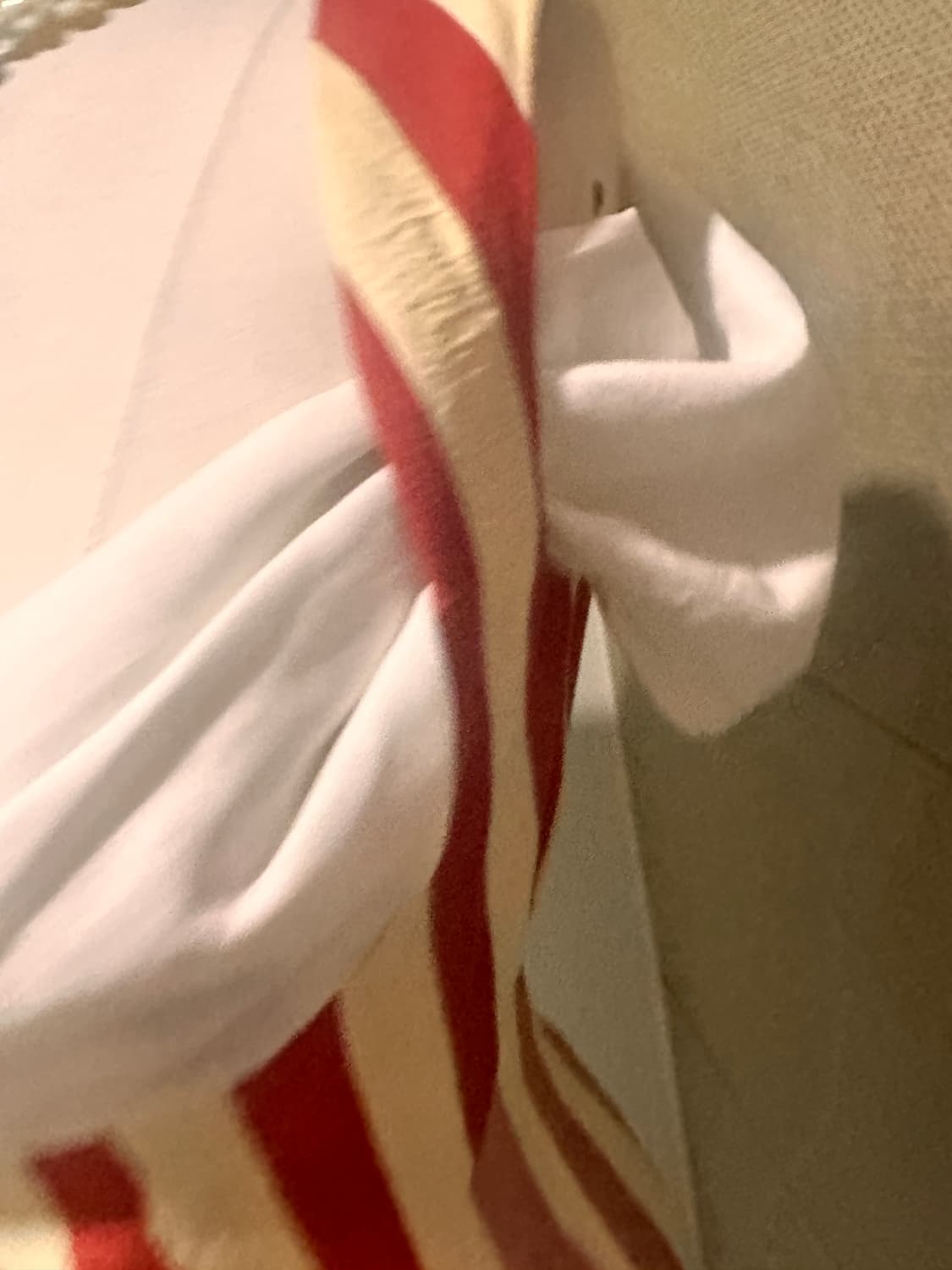 비비안웨스트우드 레드라벨 코르셋 상품이미지5