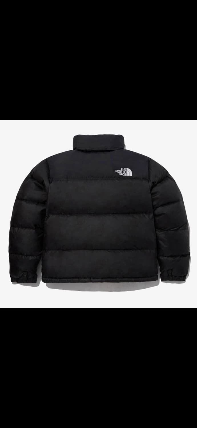 노스페이스 에코 눕시 패딩 S90 상품이미지4