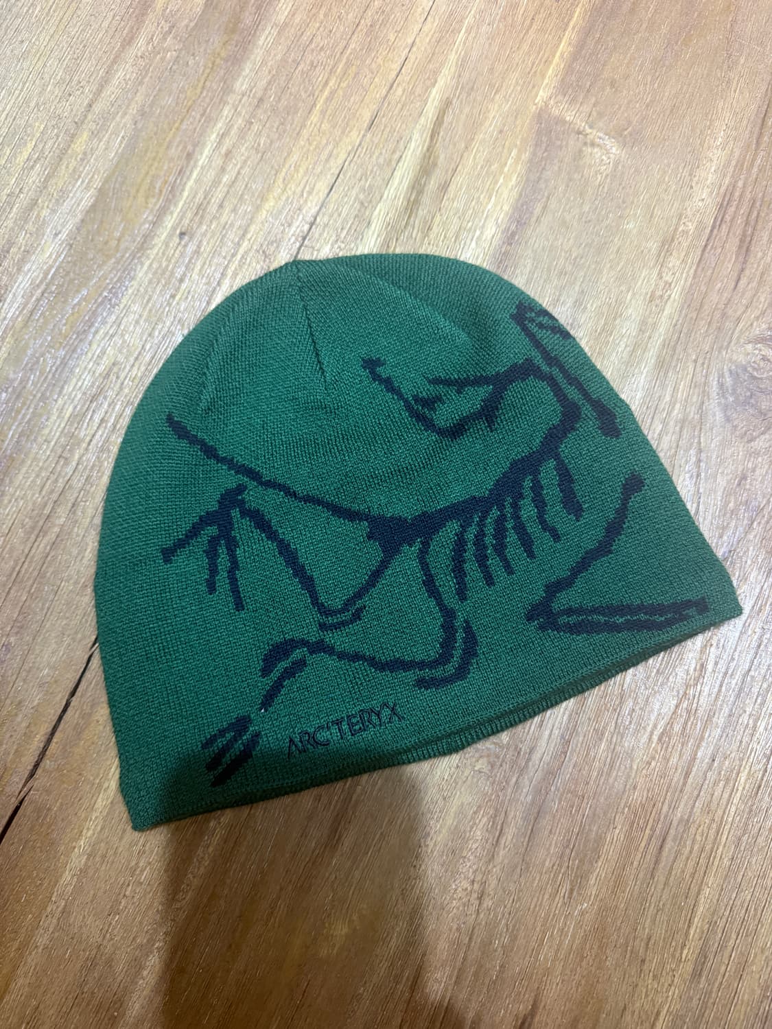 아크테릭스 버드 헤드 토크 에덴 비니 그린 상품이미지1