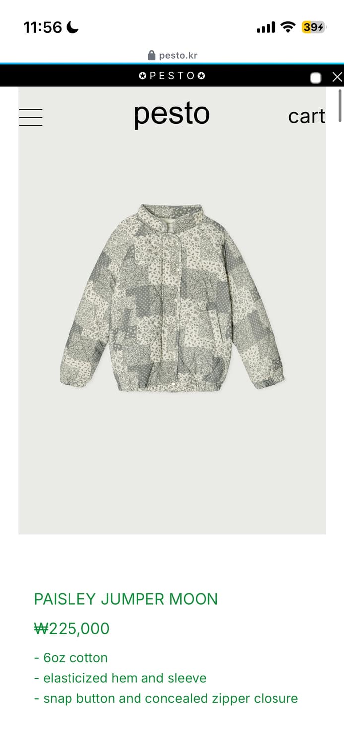 페스토 페이즐리 패딩 문  상품이미지1