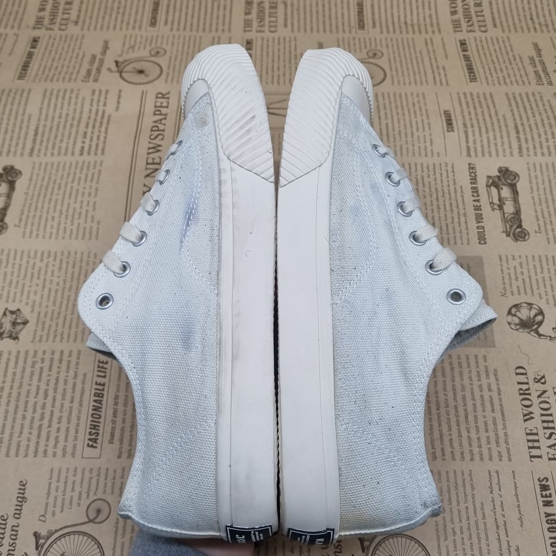 캉골 브라이튼 2007 운동화 250 상품이미지5