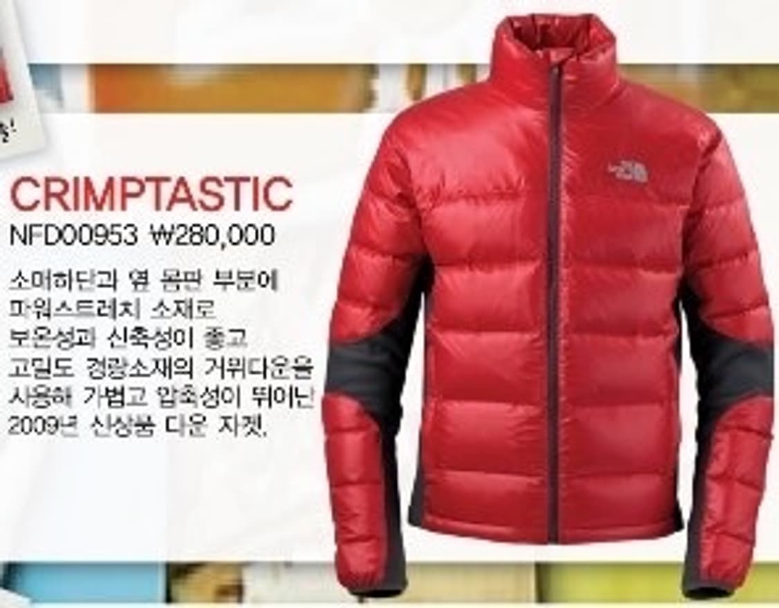 🌊TNFsummit 800 goose crimptastic jumper 상품이미지10