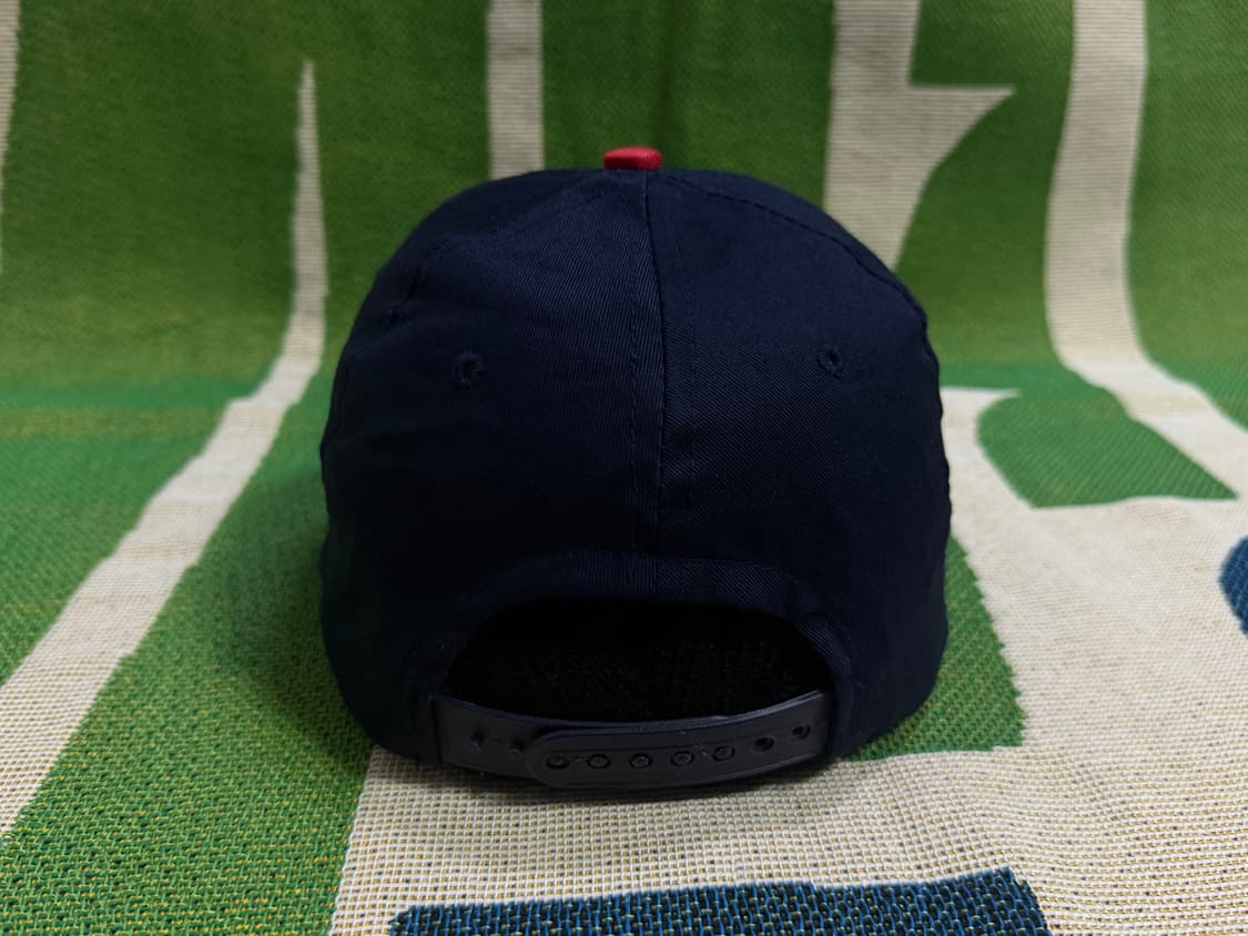 미네소타 트윈스 빈티지 스냅백 (minnesota twins) 상품이미지3