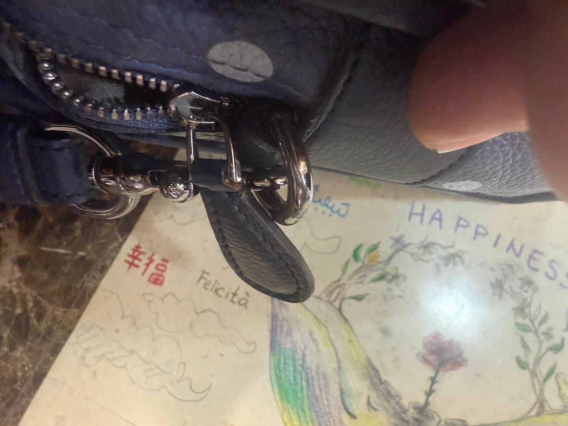 정품 로에베 크루즈 2way백 팝니다 상품이미지10