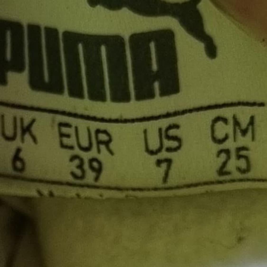 푸마 에보스피드 풋살화250. 상품이미지6