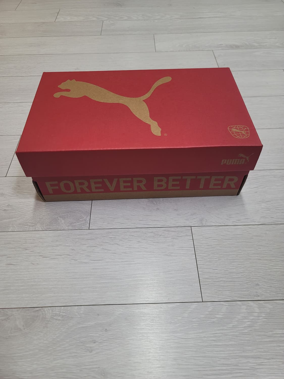 (220)푸마 풋살화 비토리아 TT Jr.[대전 직거래도 가능] 상품이미지2