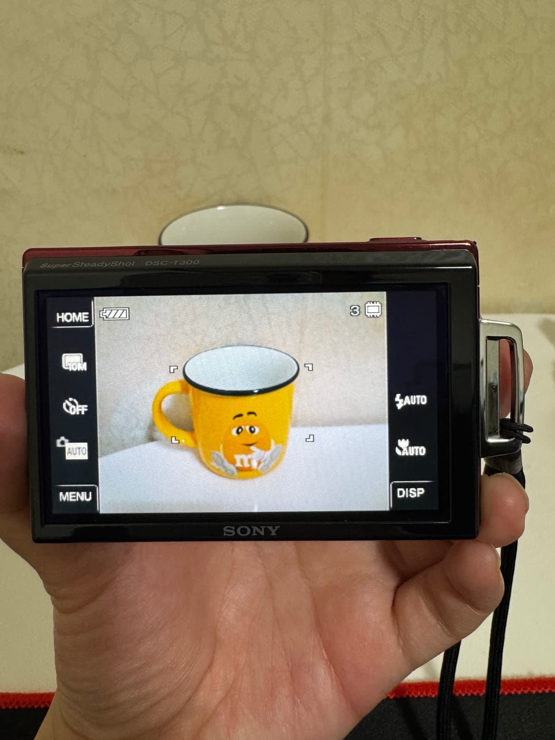 [새상품급] 소니 사이버샷 DSC-T300 디카 상품이미지3