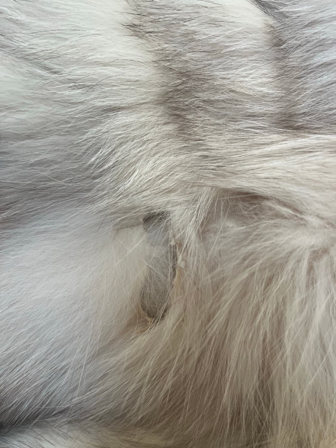 사가폭스 퍼자켓 상품이미지3