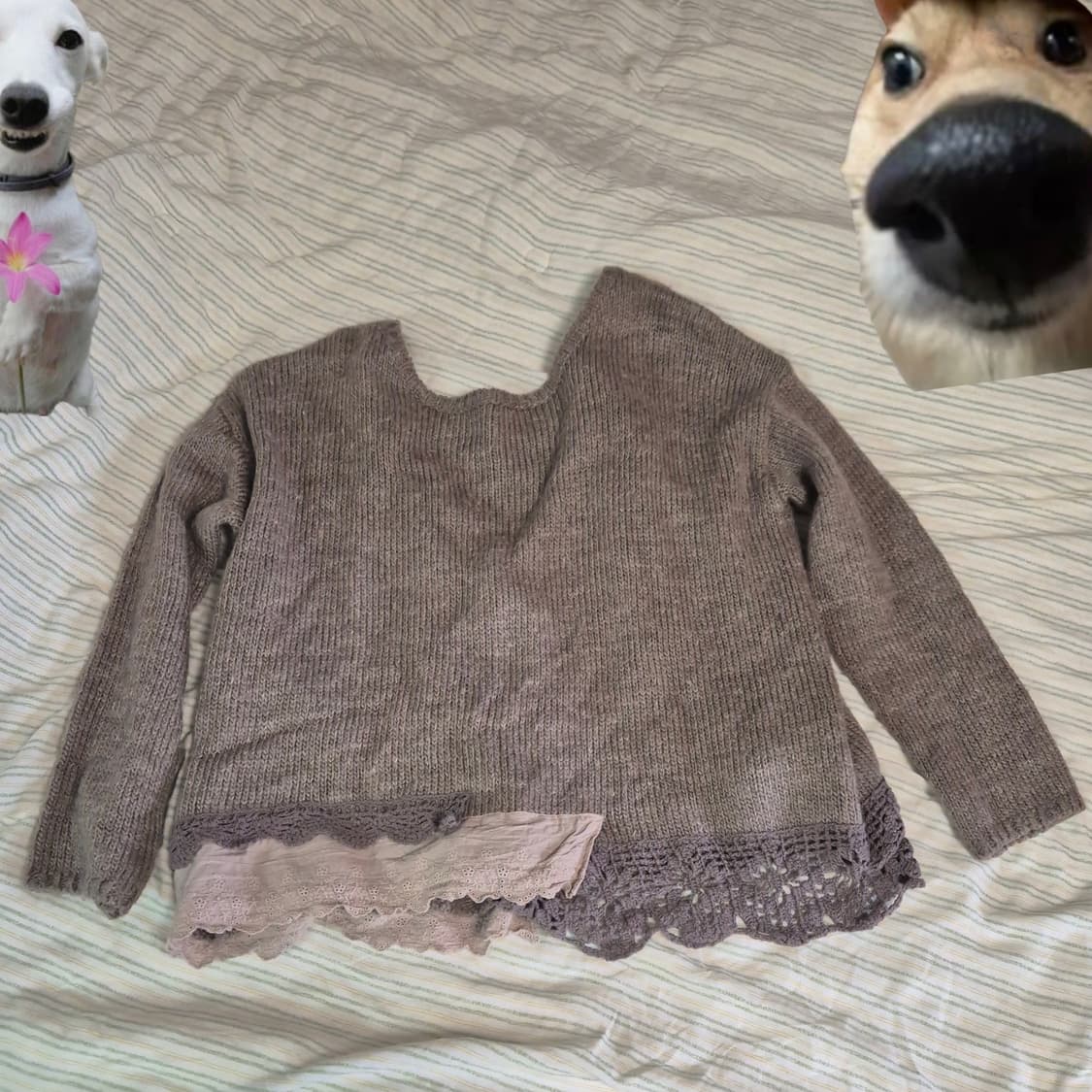 할미룩 모리걸 samansa mos2 가디건 상품이미지2