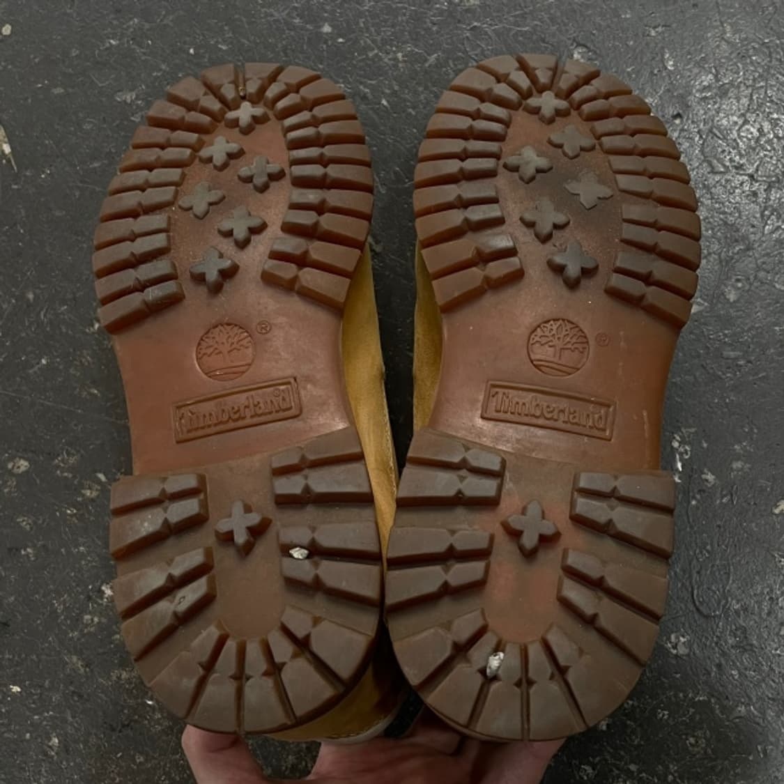 245 팀버랜드 넬리 추카 워커  상품이미지5