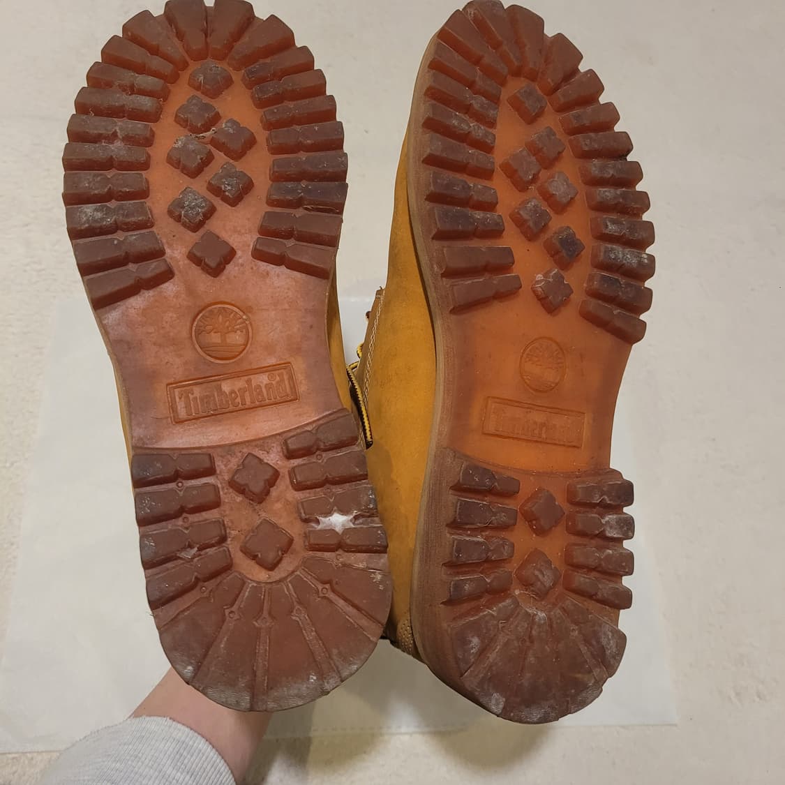 팀버랜드 6인치 워터프루프 250 상품이미지6