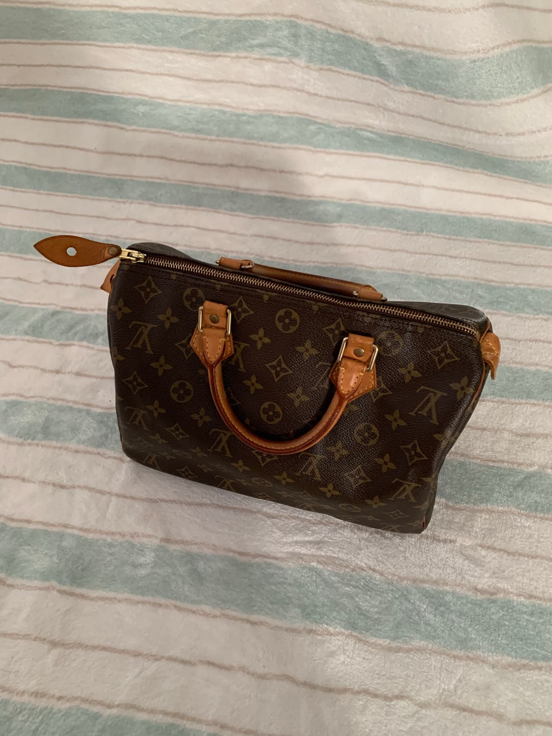 루이비통 스피디 30 상품이미지2