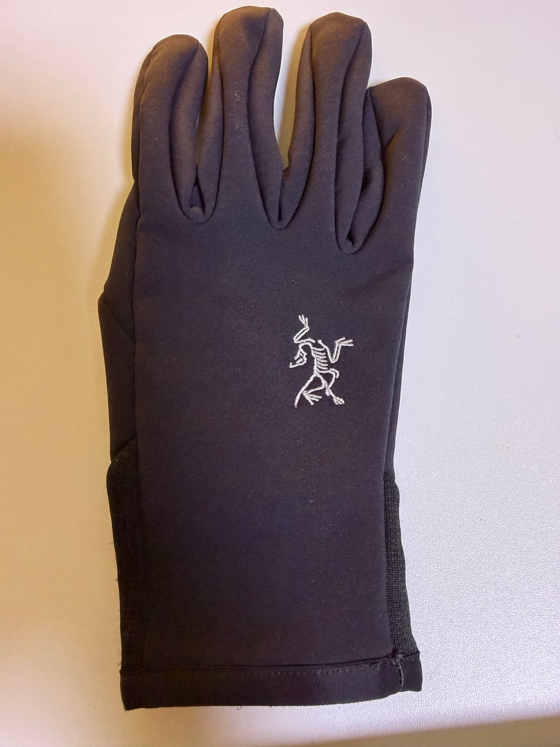 아크테릭스 벤타 장갑 (오른쪽만) 상품이미지1