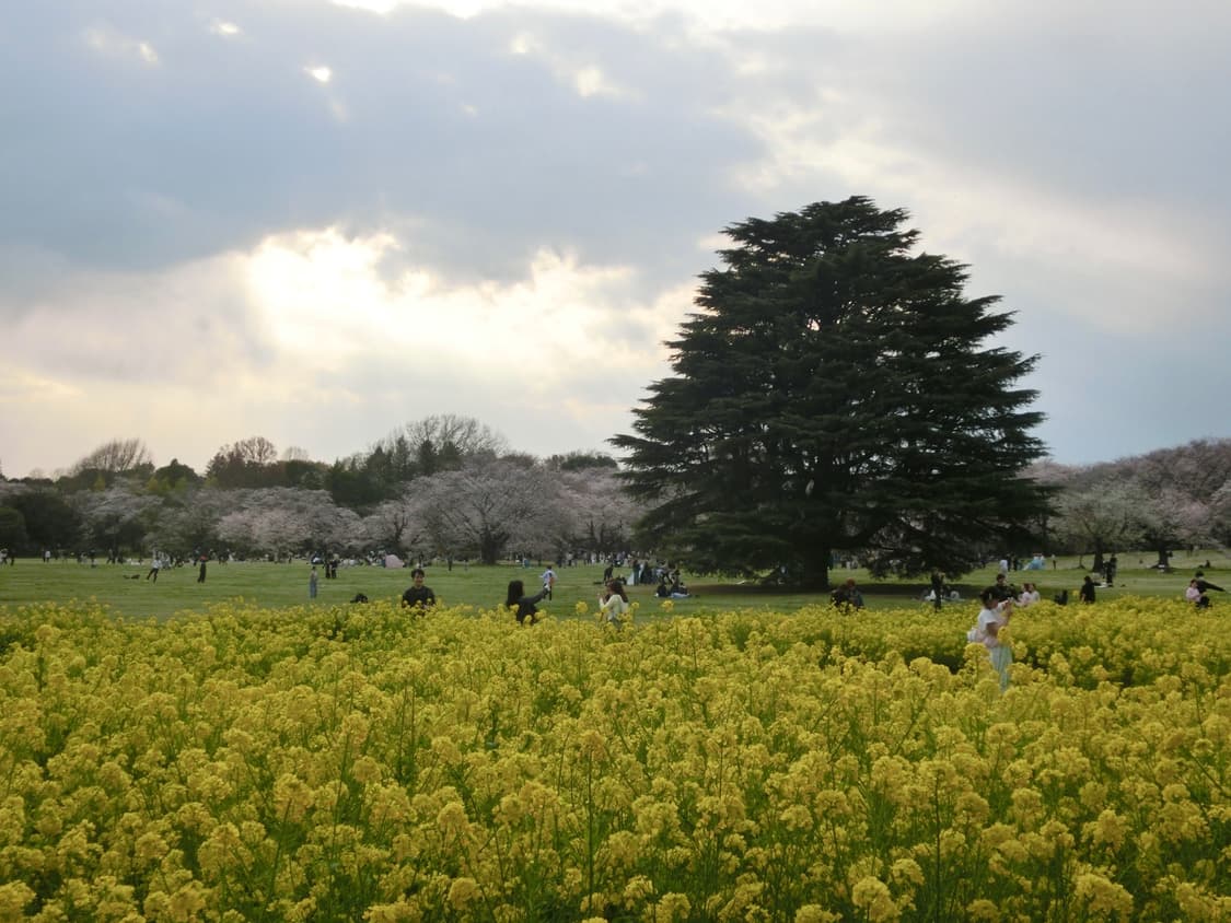 희귀 매물 예쁜 핑크 카시오 엑슬림 ex-zr400 상품이미지8