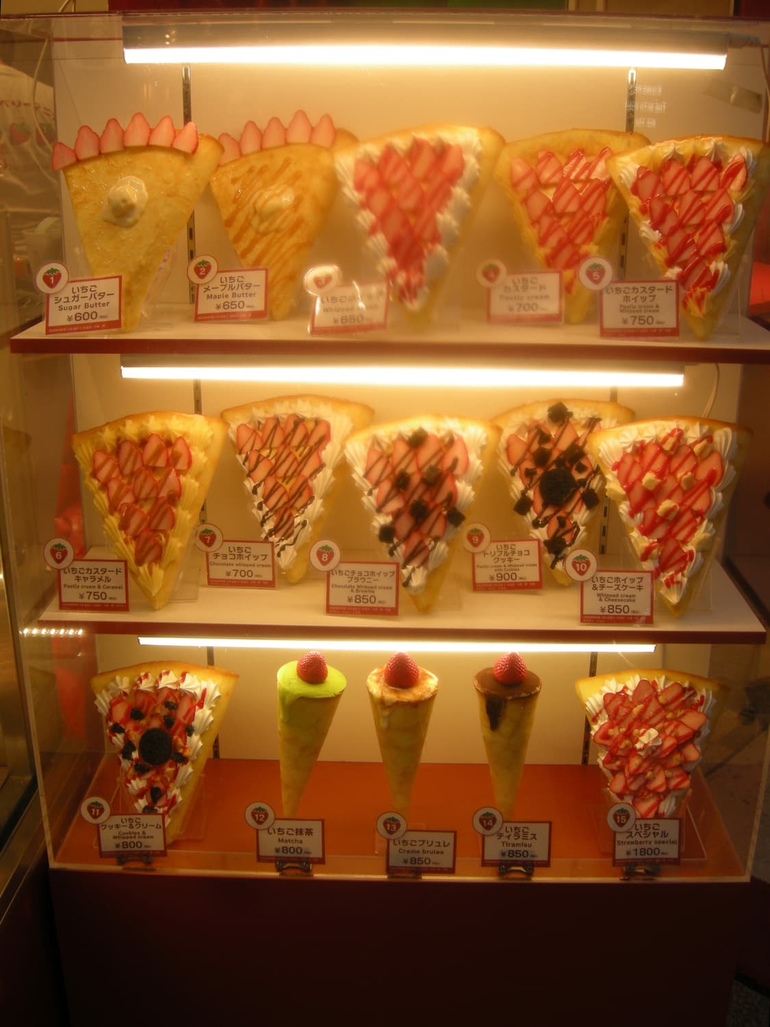 니콘 쿨픽스 P5100 작례 상품이미지3