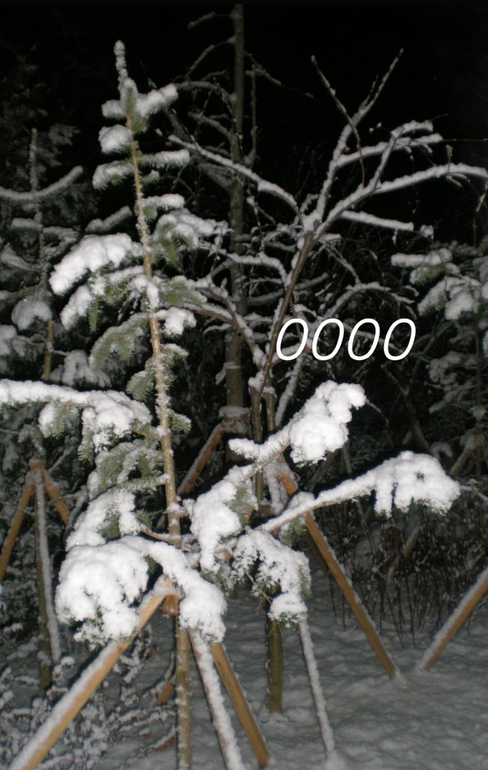 Nikon 니콘 쿨픽스 S200 레드 (작례o) 상품이미지9