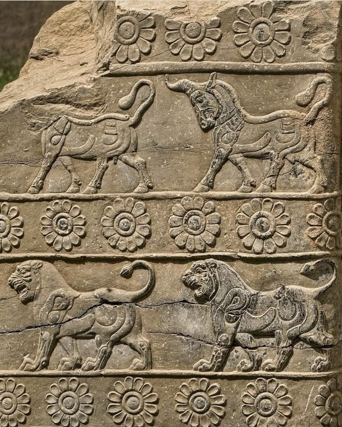 44oruy님 개인 결제창 상품이미지1